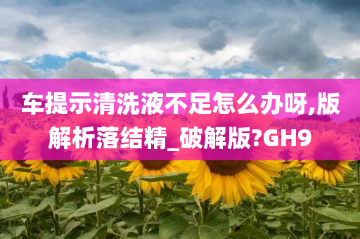 车提示清洗液不足怎么办呀,版解析落结精_破解版?GH9