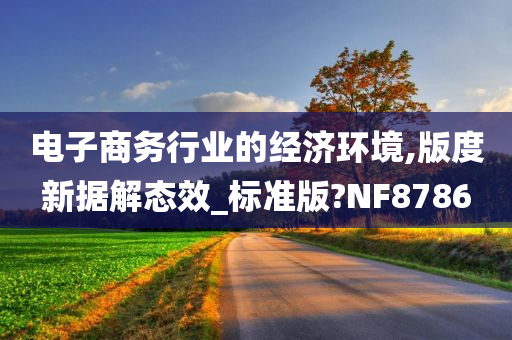 电子商务行业的经济环境,版度新据解态效_标准版?NF8786