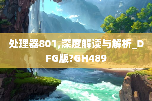 处理器801,深度解读与解析_DFG版?GH489