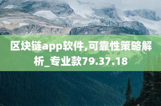 区块链app软件,可靠性策略解析_专业款79.37.18