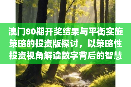 澳门80期开奖结果与平衡实施策略的投资版探讨，以策略性投资视角解读数字背后的智慧