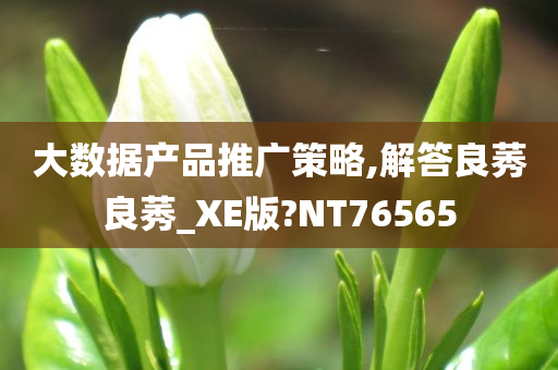 大数据产品推广策略,解答良莠良莠_XE版?NT76565