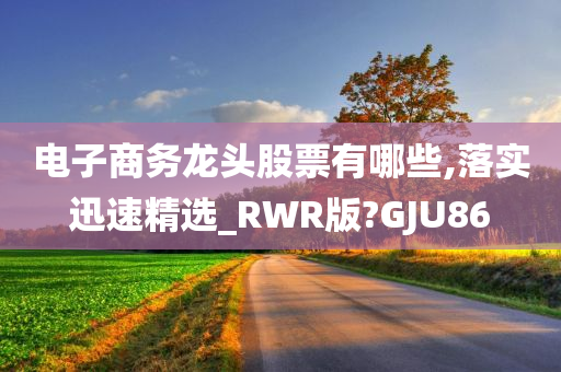 电子商务龙头股票有哪些,落实迅速精选_RWR版?GJU86