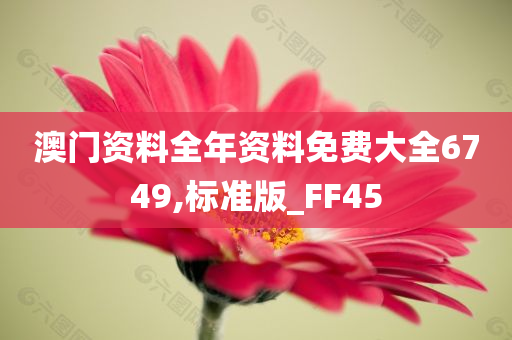 澳门资料全年资料免费大全6749,标准版_FF45