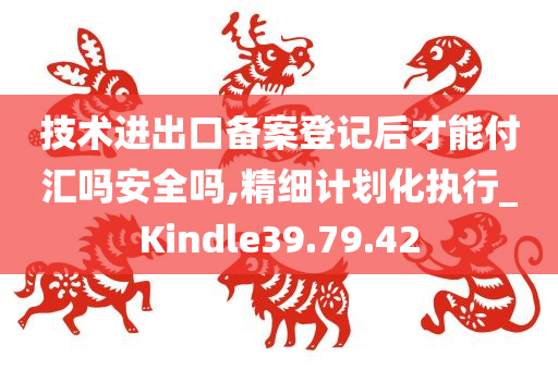 技术进出口备案登记后才能付汇吗安全吗,精细计划化执行_Kindle39.79.42