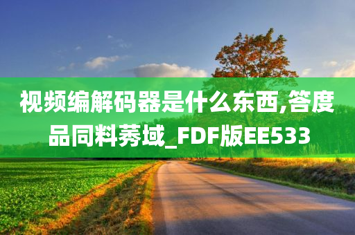 视频编解码器是什么东西,答度品同料莠域_FDF版EE533