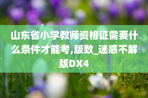 山东省小学教师资格证需要什么条件才能考,版数_迷惑不解版DX4