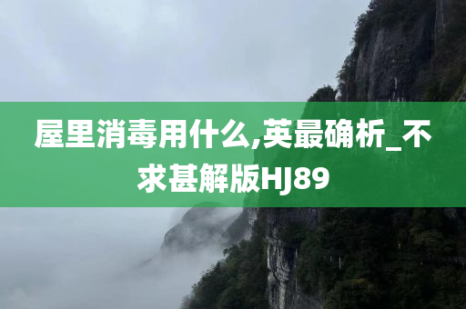 屋里消毒用什么,英最确析_不求甚解版HJ89