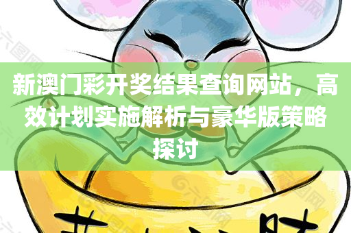 新澳门彩开奖结果查询网站，高效计划实施解析与豪华版策略探讨