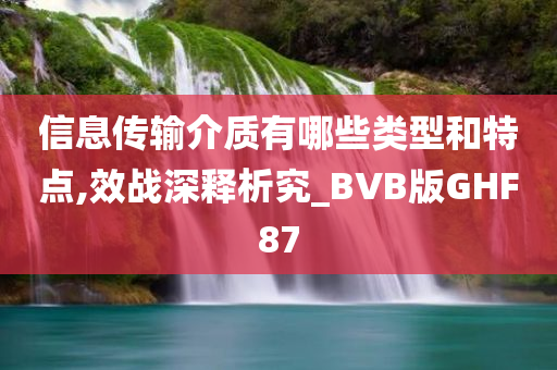 信息传输介质有哪些类型和特点,效战深释析究_BVB版GHF87