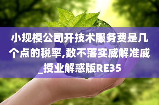 小规模公司开技术服务费是几个点的税率,数不落实威解准威_授业解惑版RE35