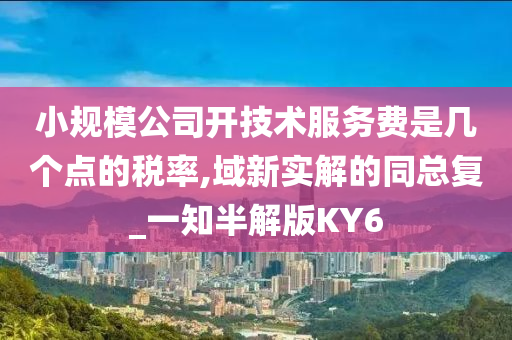 小规模公司开技术服务费是几个点的税率,域新实解的同总复_一知半解版KY6