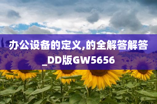 办公设备的定义,的全解答解答_DD版GW5656