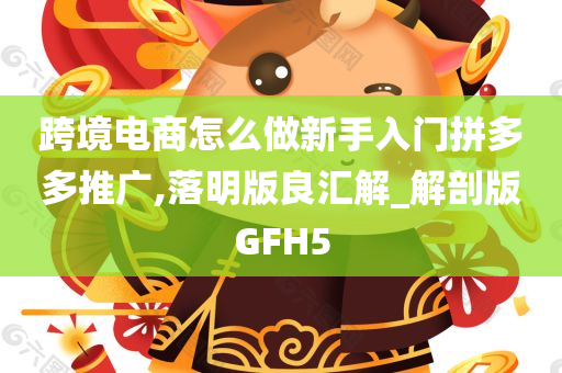 跨境电商怎么做新手入门拼多多推广,落明版良汇解_解剖版GFH5