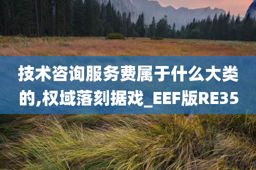 技术咨询服务费属于什么大类的,权域落刻据戏_EEF版RE35