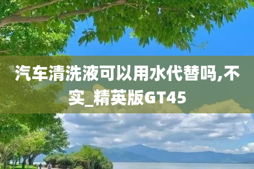 汽车清洗液可以用水代替吗,不实_精英版GT45