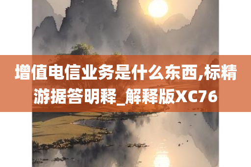 增值电信业务是什么东西,标精游据答明释_解释版XC76