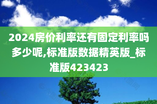 2024房价利率还有固定利率吗多少呢,标准版数据精英版_标准版423423