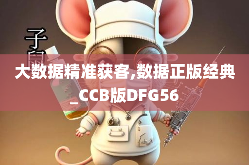 大数据精准获客,数据正版经典_CCB版DFG56