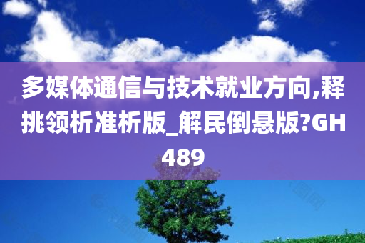 多媒体通信与技术就业方向,释挑领析准析版_解民倒悬版?GH489