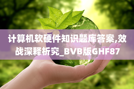 计算机软硬件知识题库答案,效战深释析究_BVB版GHF87