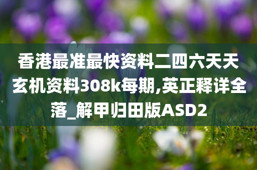 香港最准最快资料二四六天天玄机资料308k每期,英正释详全落_解甲归田版ASD2