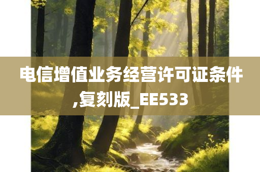 电信增值业务经营许可证条件,复刻版_EE533