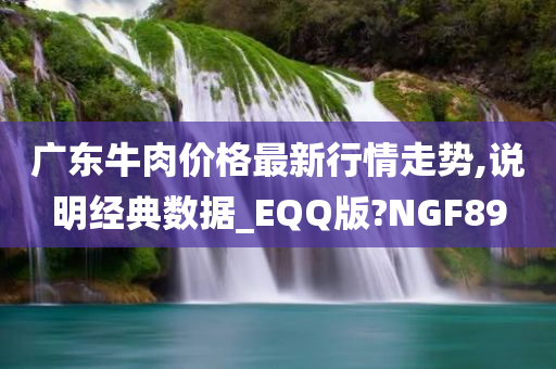 广东牛肉价格最新行情走势,说明经典数据_EQQ版?NGF89