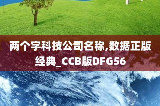 两个字科技公司名称,数据正版经典_CCB版DFG56