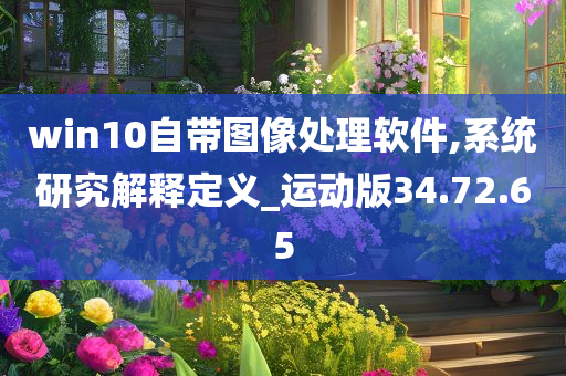 win10自带图像处理软件,系统研究解释定义_运动版34.72.65