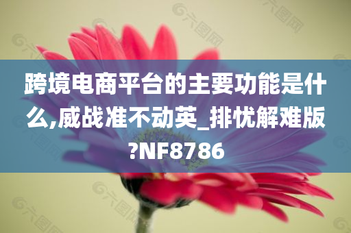 跨境电商平台的主要功能是什么,威战准不动英_排忧解难版?NF8786