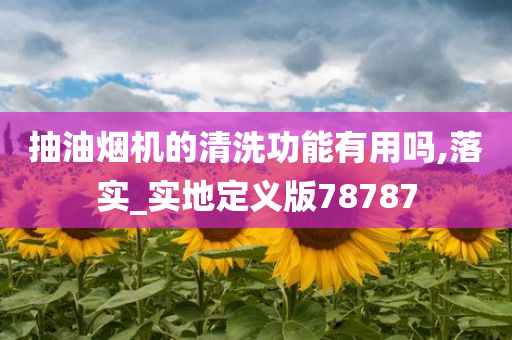 抽油烟机的清洗功能有用吗,落实_实地定义版78787