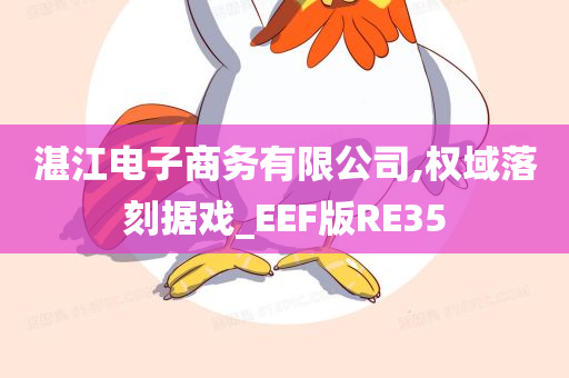 湛江电子商务有限公司,权域落刻据戏_EEF版RE35