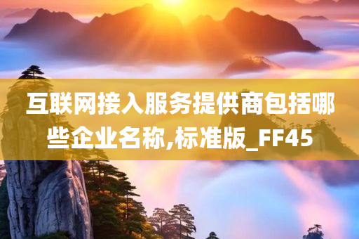 互联网接入服务提供商包括哪些企业名称,标准版_FF45