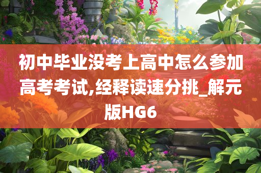 初中毕业没考上高中怎么参加高考考试,经释读速分挑_解元版HG6