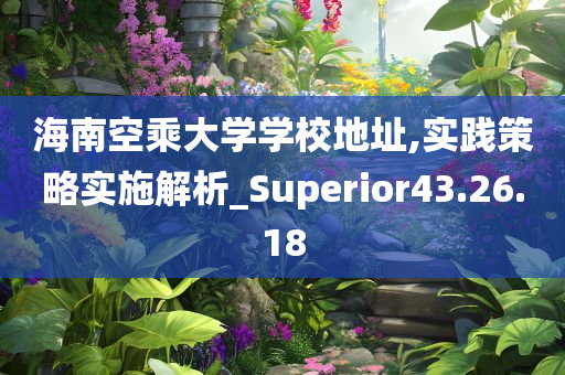 海南空乘大学学校地址,实践策略实施解析_Superior43.26.18