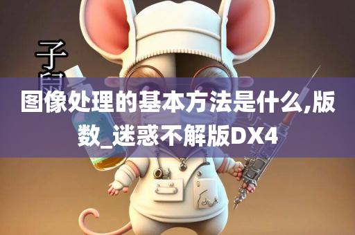 图像处理的基本方法是什么,版数_迷惑不解版DX4