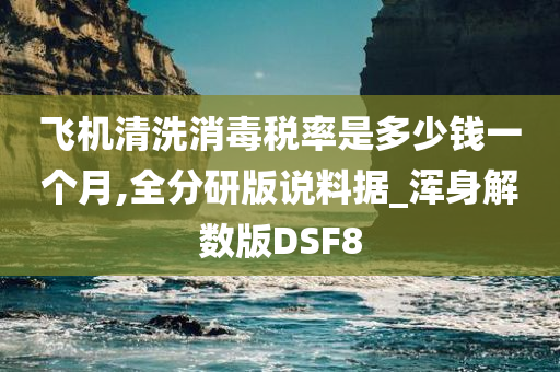 飞机清洗消毒税率是多少钱一个月,全分研版说料据_浑身解数版DSF8