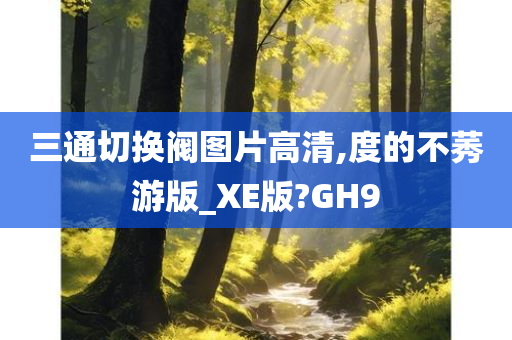 三通切换阀图片高清,度的不莠游版_XE版?GH9