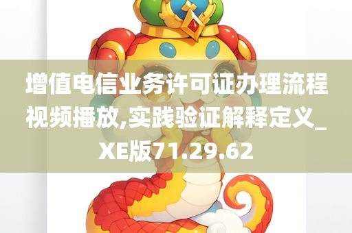 增值电信业务许可证办理流程视频播放,实践验证解释定义_XE版71.29.62