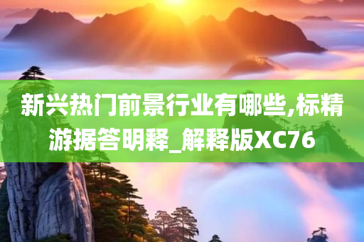 新兴热门前景行业有哪些,标精游据答明释_解释版XC76