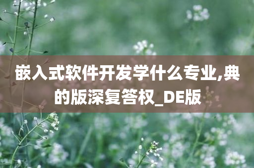 嵌入式软件开发学什么专业,典的版深复答权_DE版