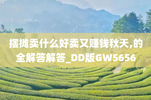 摆摊卖什么好卖又赚钱秋天,的全解答解答_DD版GW5656