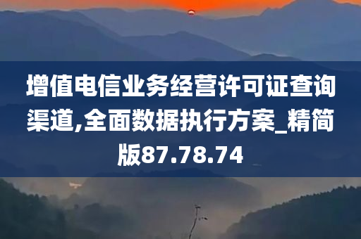 增值电信业务经营许可证查询渠道,全面数据执行方案_精简版87.78.74