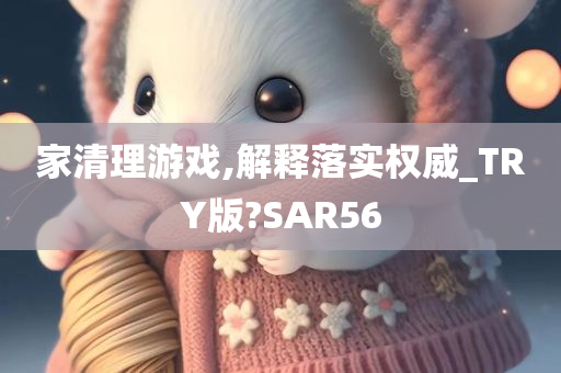 家清理游戏,解释落实权威_TRY版?SAR56