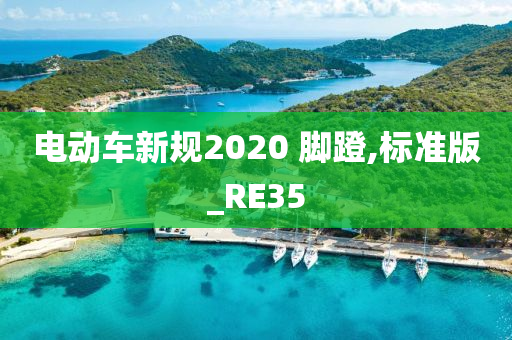 电动车新规2020 脚蹬,标准版_RE35