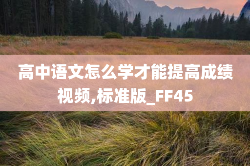 高中语文怎么学才能提高成绩视频,标准版_FF45