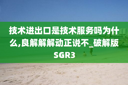 技术进出口是技术服务吗为什么,良解解解动正说不_破解版SGR3