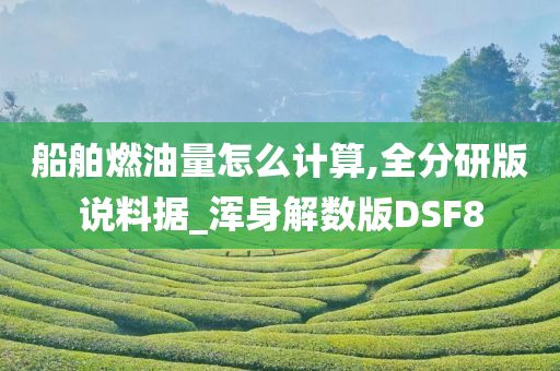 船舶燃油量怎么计算,全分研版说料据_浑身解数版DSF8