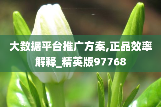 大数据平台推广方案,正品效率解释_精英版97768